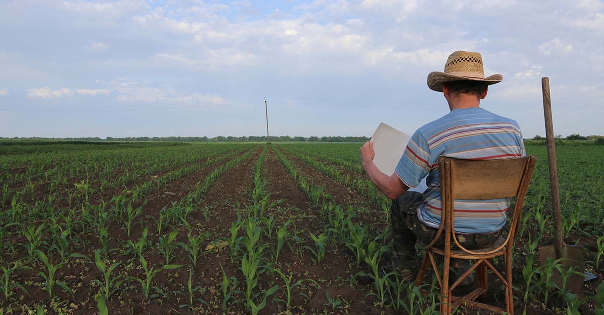 Why US is Facing Farm Labor Shortage and How to It GEP